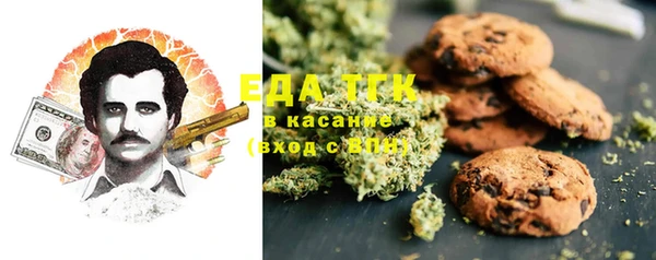индика Козловка